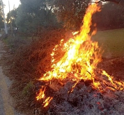 Milas&rsquo;taki orman yangınları b&uuml;y&uuml;meden s&ouml;nd&uuml;r&uuml;ld&uuml;