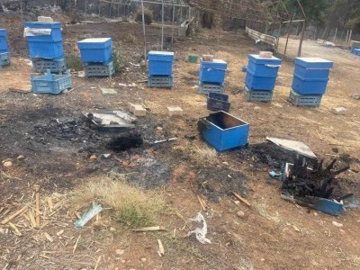 Milyonlarcası yanarak telef oldu