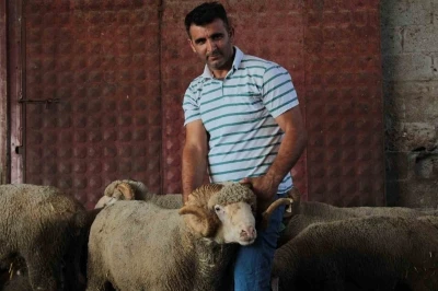 Milyonluk yerli ko&ccedil;un erkek &uuml;&ccedil;&uuml;z yavrusu oldu