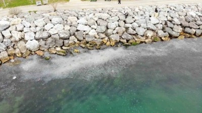 Moda Sahili’ni denizanası bastı: Dron ile böyle görüntülendi