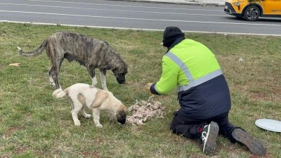 Motosikletiyle Sokak Sokak Gezip Can Dostlarını Besliyor