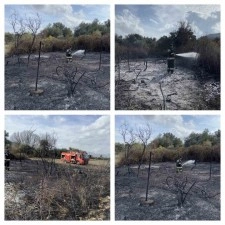 Muğla&rsquo;da &uuml;z&uuml;m bağları alevlere teslim oldu