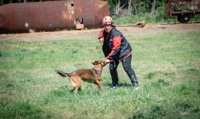 Kurtarma K&ouml;pekleri Macaristan&rsquo;da sahaya indi