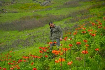 Muş&rsquo;ta &rsquo;Ağlayan Gelin&rsquo; i&ccedil;in sıkı koruma: Koparana 700 bin TL ceza
