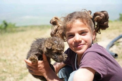 Çobanlar kurt yavrularını sonanda kurtardı