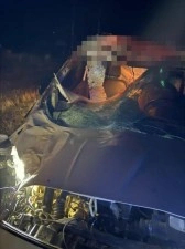 Muş’ta hafif ticari araç ata çarptı: 2 yaralı