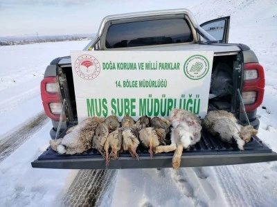 Muş’ta kaçak avcılara ağır ceza