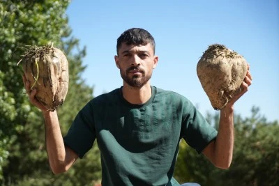 Muş’ta Şeker Pancarı Alım Sezonu Başladı: 2 Milyar TL Ekonomik Katkı Hedefleniyor