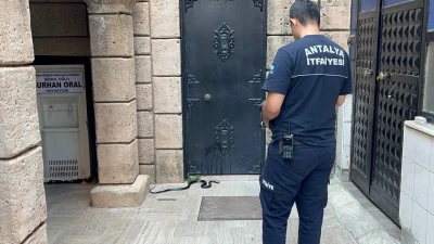 Namaza gelen cemaat karşılaştıkları yılanı &ouml;nce oyuncak sandı
