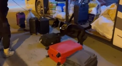 Narkotik köpeği "Naz" zehir tacirlerine geçit vermiyor