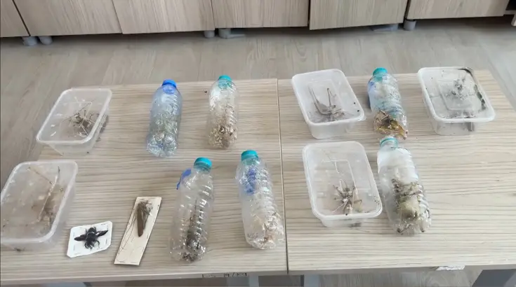 Nemrut Dağı&rsquo;nda yakalanan &ccedil;ekirgeler i&ccedil;in dikkat &ccedil;eken uyarı