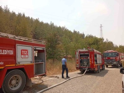 Mesire alanında korkutan yangın