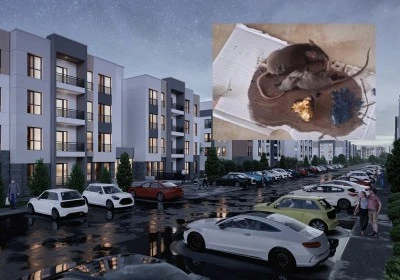 Oğlaklı 4. Etap'ta Fare ve Haşere İddiası
