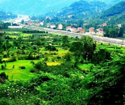 &Ouml;ğretim G&ouml;revlisi Mehmet Akif Bal: "Karadere Vadisi acilen tarımsal &uuml;retim &uuml;ss&uuml; haline getirilmeli"
