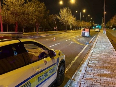 &Ouml;n&uuml;ne k&ouml;pek &ccedil;ıkan ara&ccedil; yan yattı: 2 yaralı