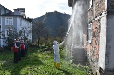 Ordu&rsquo;da kokarcaya karşı 330 bin kışlak ila&ccedil;lanacak