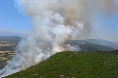 Orman alev alev yandı