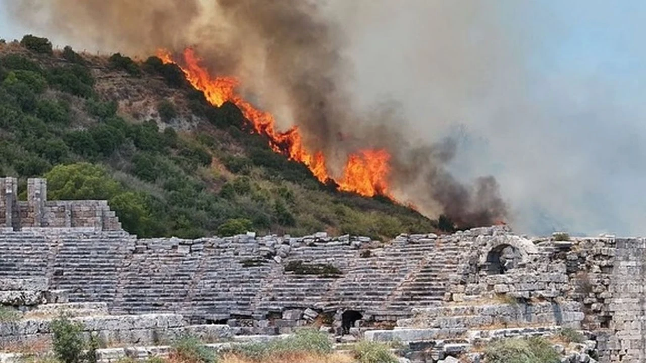 Orman dışı otluk alanda yangın