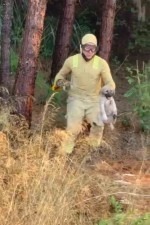 Yangında kaplumbağa ve köpek yavrusunu kurtardılar