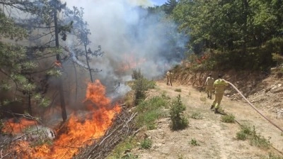 Orman yangınına sebep olan 9 kişi gözaltına alındı, bir kişi tutuklandı
