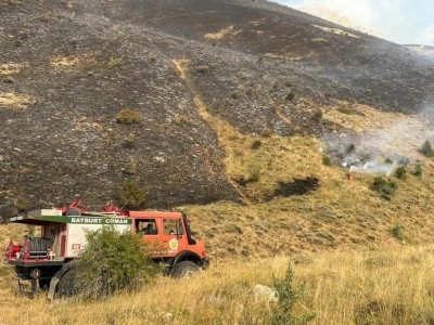  Orman Yangınlarının Sağlık Üzerindeki Olumsuz Etkileri
