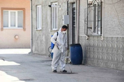 Haşereye karşı anında m&uuml;dahale