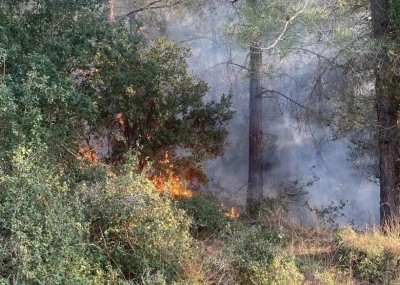 Osmaniye’de orman yangını