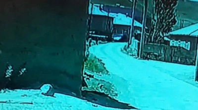 Özalp’ta kamyonet duvara çarptı, çocuklar korkuyla kaçtı