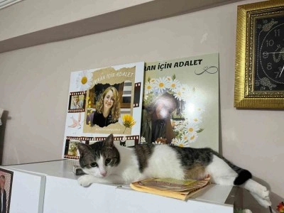 Depremde kızını kaybeden baba hayvan sevgisiyle hayata tutunuyor