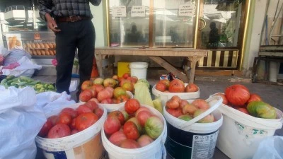 Palu’nun Mahman Domatesi Pazarda Yoğun İlgi Görüyor