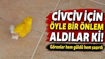 Civciv İ&ccedil;in &Ouml;yle Bir &Ccedil;&ouml;z&uuml;m Buldular Ki...