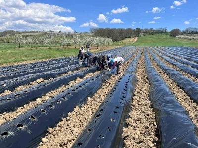 Pazarlar&rsquo;da &ccedil;ilek &uuml;retimine destek