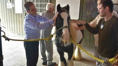 Yaşlılar i&ccedil;in atla terapi d&ouml;nemi başladı