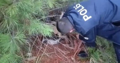 Polis kaçak avcılık tuzağı ele geçirdi