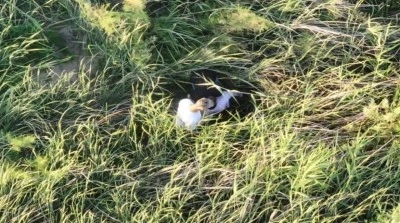 Polis kontrolünden kaçarken yol kenarına attıkları torbadan uyuşturucu çıktı