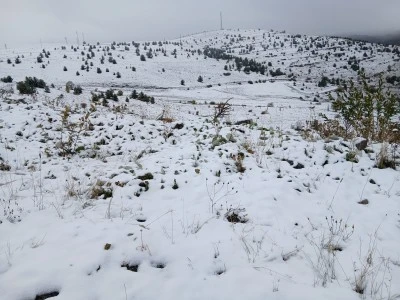 Posof’ta Gece Yarısından İtibaren Kar Yağışı Etkisini Gösterdi