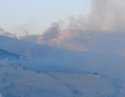 P&uuml;t&uuml;rge&rsquo;deki arazi yangını kontrol altına alındı