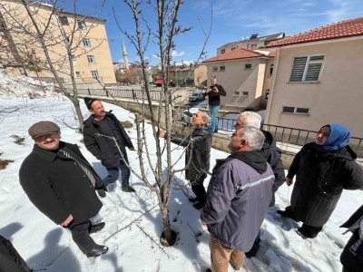 Refahiye’de budama eğitimi