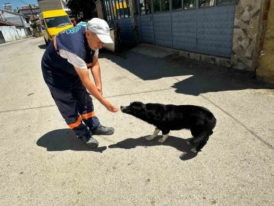 Sahibi &ouml;len "Dayı"yı yalnız bırakmayan temizlik g&ouml;revlisinin kalp ısıtan hikayesi