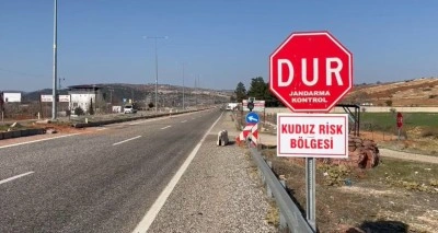 Sahipli köpek kuduz çıktı, belde karantinaya alındı