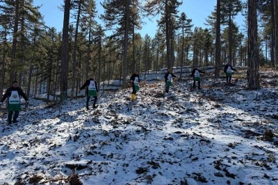 Saimbeyli&rsquo;de orman geleceğe hazırlanıyor