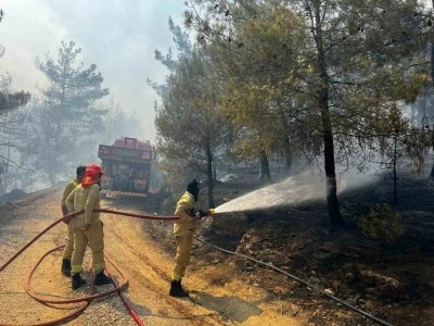 Sakarya’da başlayan orman yangını Osmaneli’ne de sıçradı