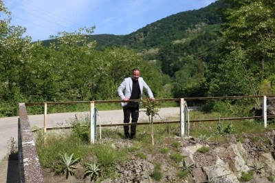 Sakin şehirde yarım asırlık köprü yenileniyor