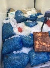 Samsun’da 1,5 ton kaçak midye ele geçirildi