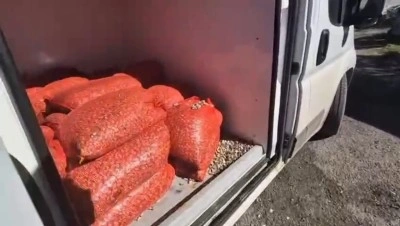 Samsun’da 1 ton 180 kilo kaçak midye ele geçirildi