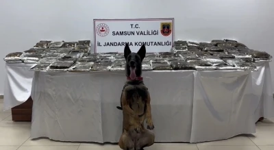 Samsun&rsquo;da tıra gizlenmiş 132 kilo toz esrar ele ge&ccedil;irildi