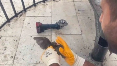 Şanlıurfa’da demir boruya sıkışan kırlangıç kurtarıldı