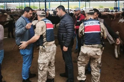 Şanlıurfa&rsquo;da Hayvan Pazarlarında Jandarma Alarmı