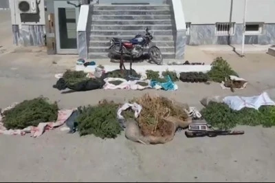 Şanlıurfa'da Kilolarca Esrar ve Silah Ele Geçirildi