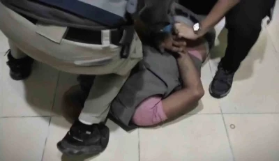 Şanlıurfa&rsquo;da silah ka&ccedil;ak&ccedil;ılığı operasyonu: 16 g&ouml;zaltı